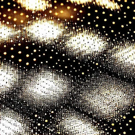 Two Paths to Five Trillion: A Crypto Desk's Nvidia Headline, Read as Data