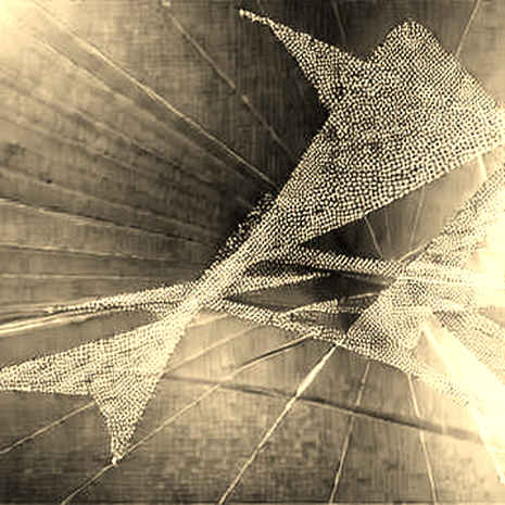 Tariff Escalation and the Coming Shift in North American Economic Infrastructure