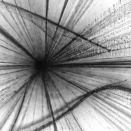 The Relay Is the Vulnerability: Auditing the Crypto Rails Under Putin's Iran-to-Trump Channel