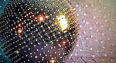 Hyperlipid's 16% Burn: A Desperate Gamble or a Masterstroke for the US Stock Perpetuals Market? Hyperlipid's 16% Burn: A Desperate Gamble or a Masterstroke for the US Stock Perpetuals Market?