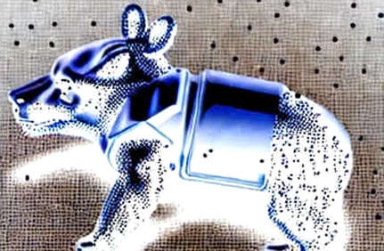 The 6% Slip That Exposed the Cracks: Why a Leading Layer-1 Drop Is More Than a Correction