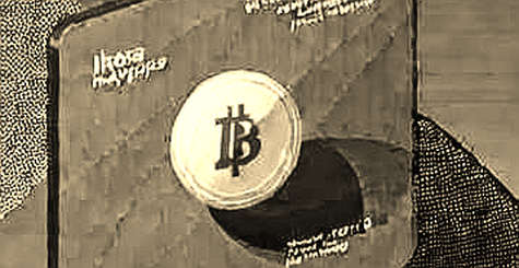 The Evergreen Hedge: Bill Ackman’s Venture Fund and the Crypto Liquidity Crossroads