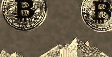 The Constraint Tax: What Two Weeks Inside a ZK-Rollup's Circuit Revealed About Proof Economics