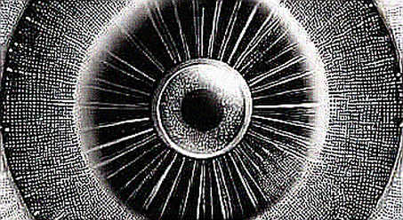 The Phantom Chain: Deconstructing the 'Ultrafast' L2 Rumor with On-Chain Forensics