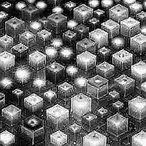 When an AI Agent Reaches Into a Bank: Reading the ARTEX Silence