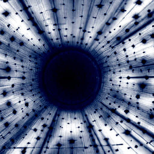 TRC-20 USDT Outran Bitcoin on CoinsBee — The Fill Data Matters More Than the Headline