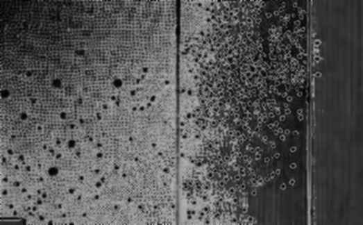 The 0x Protocol Audit: A Forensic Examination of Order Matching Logic and Its Structural Integrity
