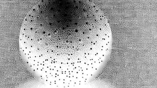 The Randomness That Wasn't: Coldcard's RNG Failure and the Silent Flight of 1,747 BTC