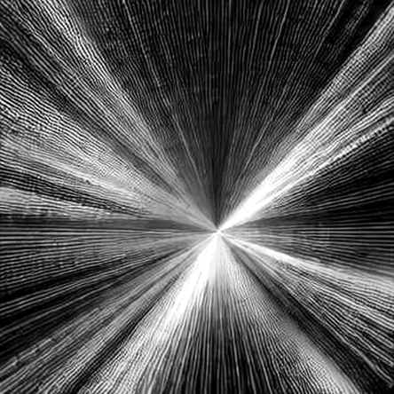 The Ox Alpha Enigma: When an Anonymous AI Model Claims to Dethrone Giants