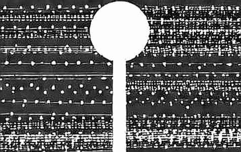The 76,000 Divergence: Why The Ledger Ignores The Round Number