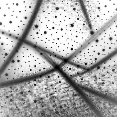 Null Return: The Verification Crisis Inside Crypto's AI Trading Stack