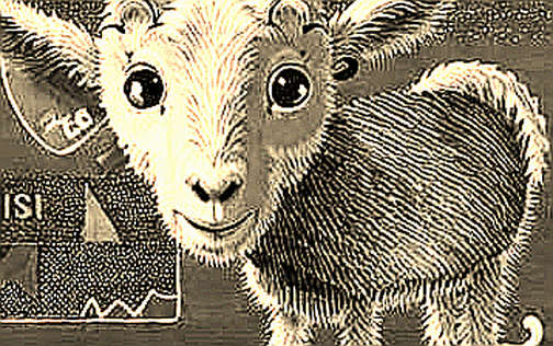 The 16-Page Analysis That Found Nothing: Why Crypto’s Framework Fails Sports