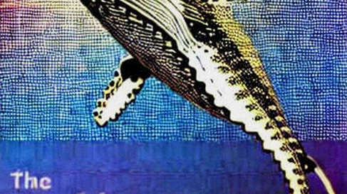 The Whale's Confession: When Market Signals Become a Crisis of Faith