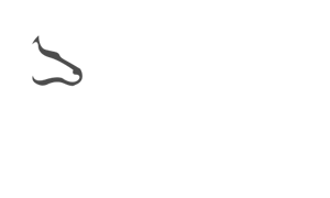 Strategic Legal Consulting Branding | Creatica Panamá